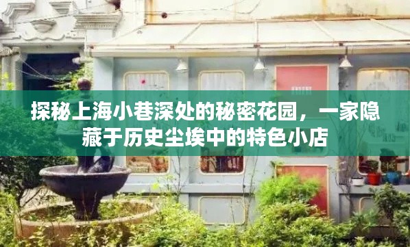 探秘上海隐秘小巷,历史尘埃中的秘密花园与特色小店之旅