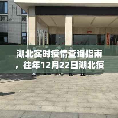 湖北实时疫情查询指南,往年数据获取详解与进阶用户适用指南