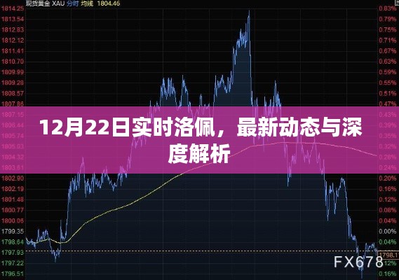 洛佩最新动态与深度解析,12月22日实时更新