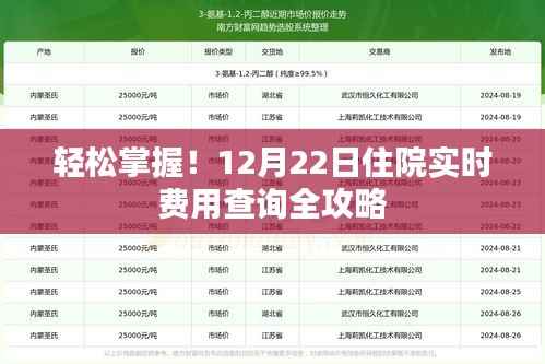 12月22日住院实时费用查询攻略,轻松掌握费用信息