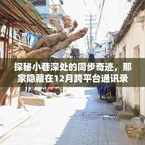 探秘小巷深处的实时同步特色小店，隐藏在跨平台通讯录中的同步奇迹