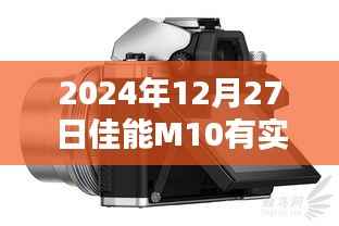 惊弦之鸟 第3页