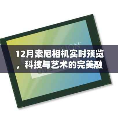 科技与艺术融合,索尼相机实时预览展现魅力