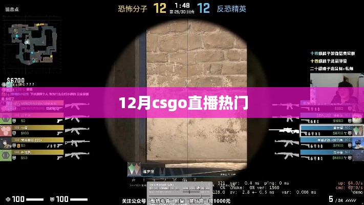 12月CSGO直播热潮涌动