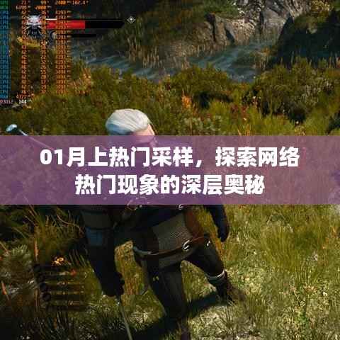 探索网络热门现象深层奥秘,一月热门采样解析