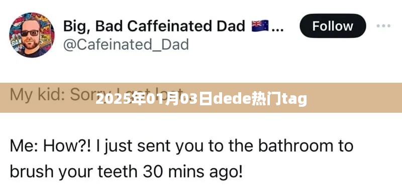 dede热门标签,揭秘未来趋势,洞悉行业动态