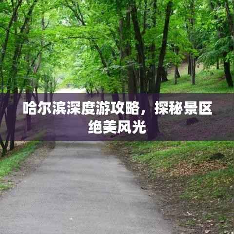 哈尔滨深度游攻略,探秘景区绝美风光