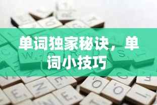 单词独家秘诀,单词小技巧