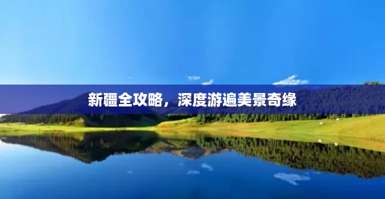 炙手可热 第3页