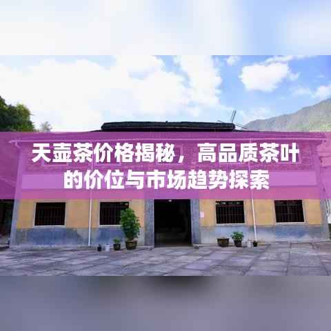 天壶茶价格揭秘,高品质茶叶的价位与市场趋势探索