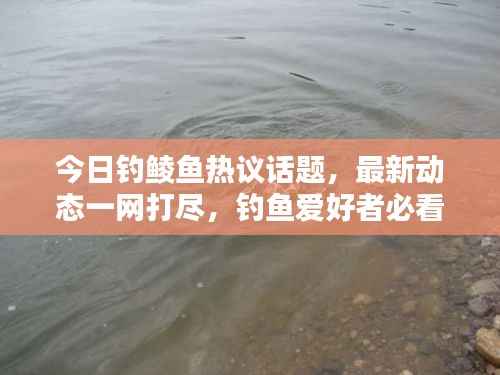 今日钓鲮鱼热议话题,最新动态一网打尽,钓鱼爱好者必看