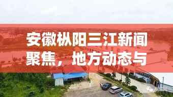 安徽枞阳三江新闻聚焦,地方动态与经济腾飞