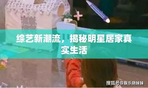 综艺新潮流,揭秘明星居家真实生活