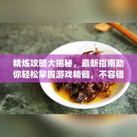 精炼攻略大揭秘,最新指南助你轻松掌握游戏精髓,不容错过!