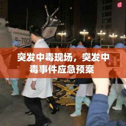 突发中毒现场,突发中毒事件应急预案