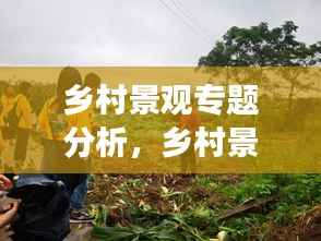 乡村景观专题分析,乡村景观研究进展