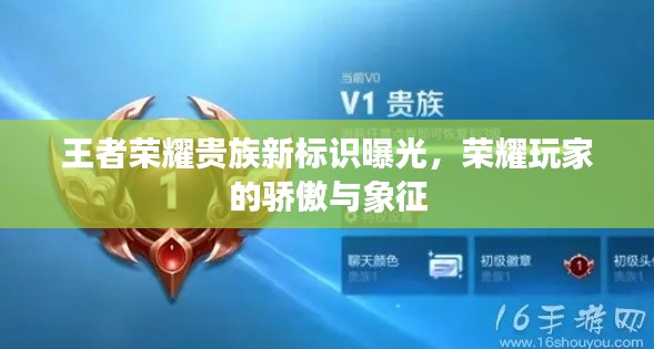 王者荣耀贵族新标识曝光,荣耀玩家的骄傲与象征