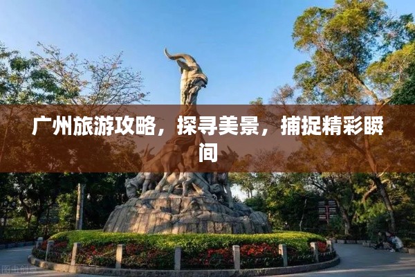 广州旅游攻略,探寻美景,捕捉精彩瞬间