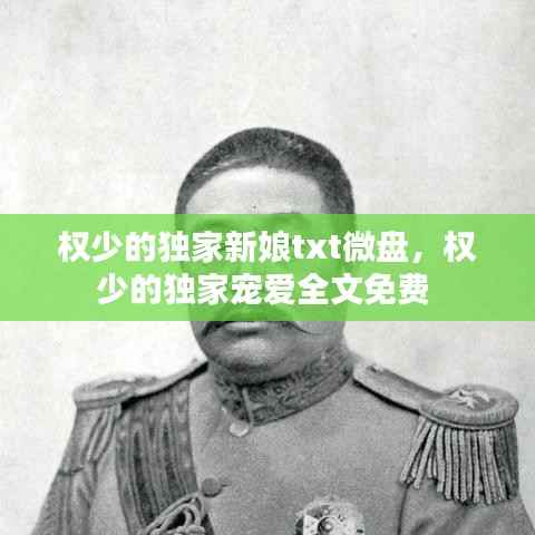 权少的独家新娘txt微盘,权少的独家宠爱全文免费