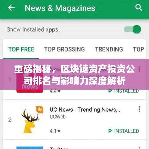 重磅揭秘,区块链资产投资公司排名与影响力深度解析