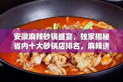 安徽麻辣砂锅盛宴,独家揭秘省内十大砂锅店排名,麻辣诱惑不容错过!