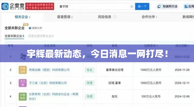 宇辉最新动态,今日消息一网打尽!