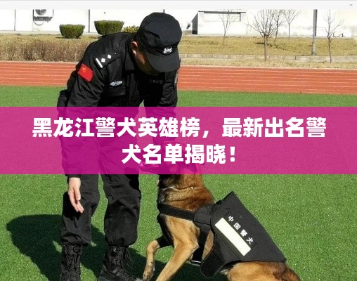 黑龙江警犬英雄榜，最新出名警犬名单揭晓！