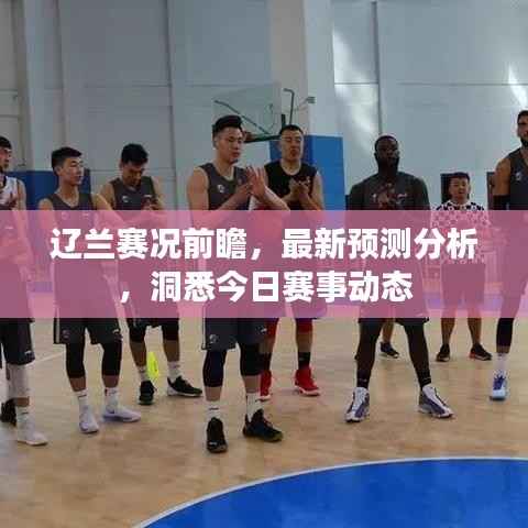 辽兰赛况前瞻,最新预测分析,洞悉今日赛事动态