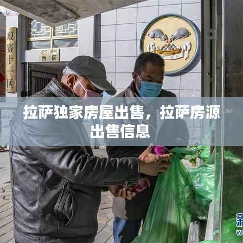 拉萨独家房屋出售,拉萨房源出售信息