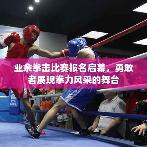 业余拳击比赛报名启幕,勇敢者展现拳力风采的舞台