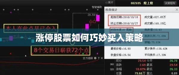 择善而从 第2页