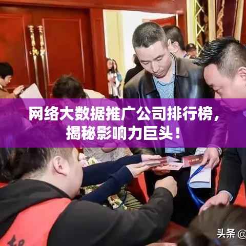 网络大数据推广公司排行榜,揭秘影响力巨头!