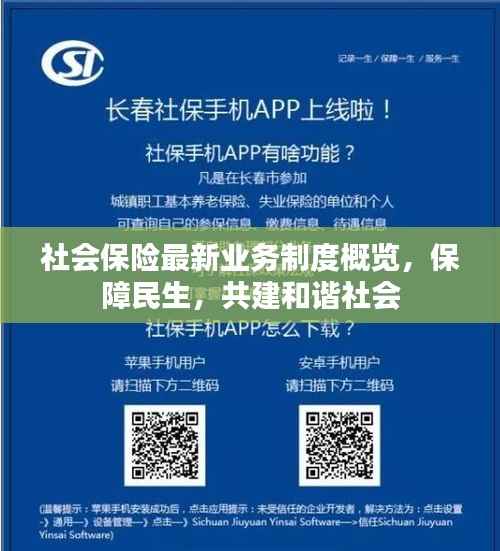 社会保险最新业务制度概览,保障民生,共建和谐社会