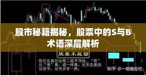 股市秘籍揭秘,股票中的S与B术语深层解析