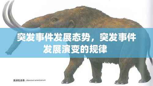突发事件发展态势,突发事件发展演变的规律