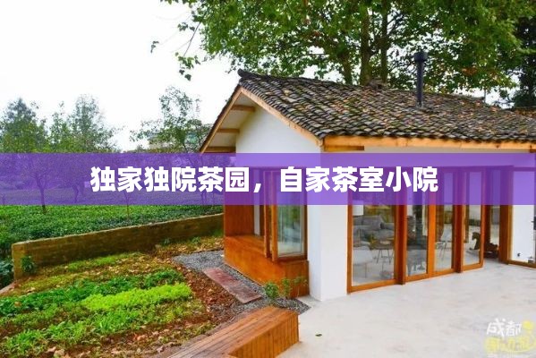 独家独院茶园,自家茶室小院