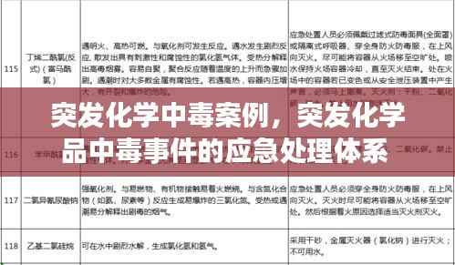 突发化学中毒案例，突发化学品中毒事件的应急处理体系 