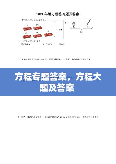 方程专题答案，方程大题及答案 
