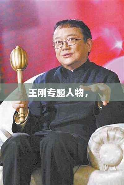 王刚专题人物， 