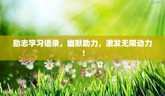 励志学习语录,幽默助力,激发无限动力!