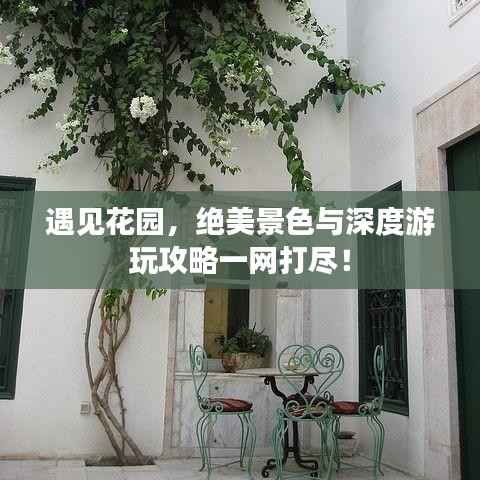 遇见花园，绝美景色与深度游玩攻略一网打尽！