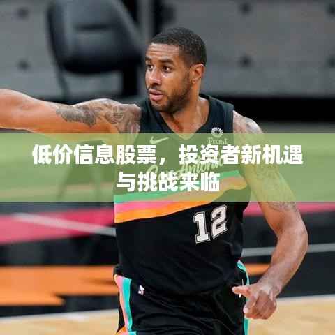 低价信息股票,投资者新机遇与挑战来临